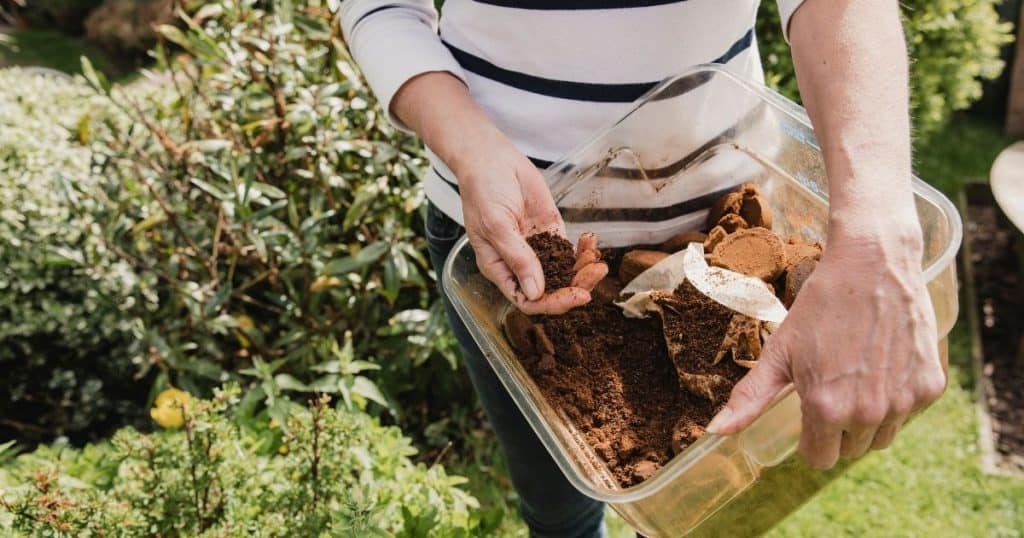 plastic container with used coffee grounds being spread through a garden