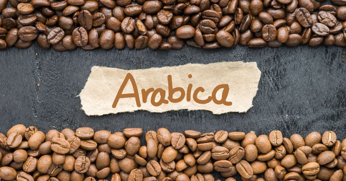 Coffee beans around a label that says Arabica.