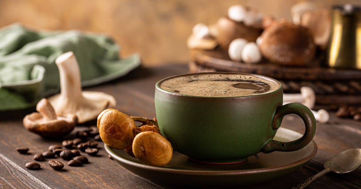 Mushroom Coffee as a coffee alternative