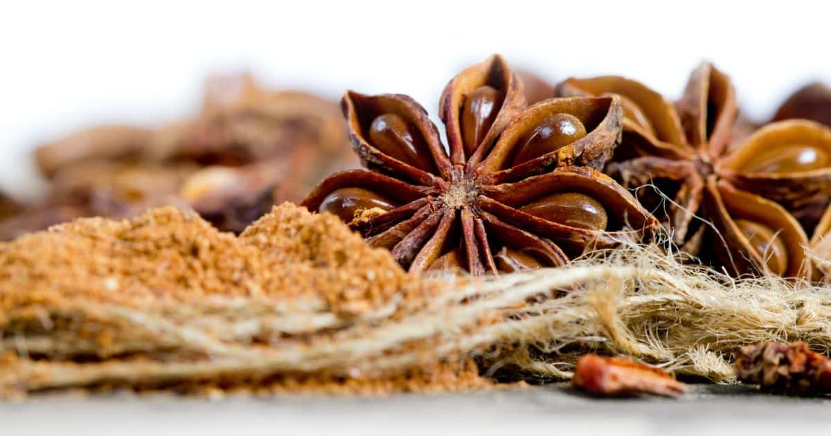 Ground Chai Spices and Star Anise